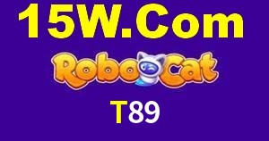Sports Statistics T89